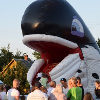 Zobacz w powiększeniu: Dożynki Gminne Baranów 2025 (44)